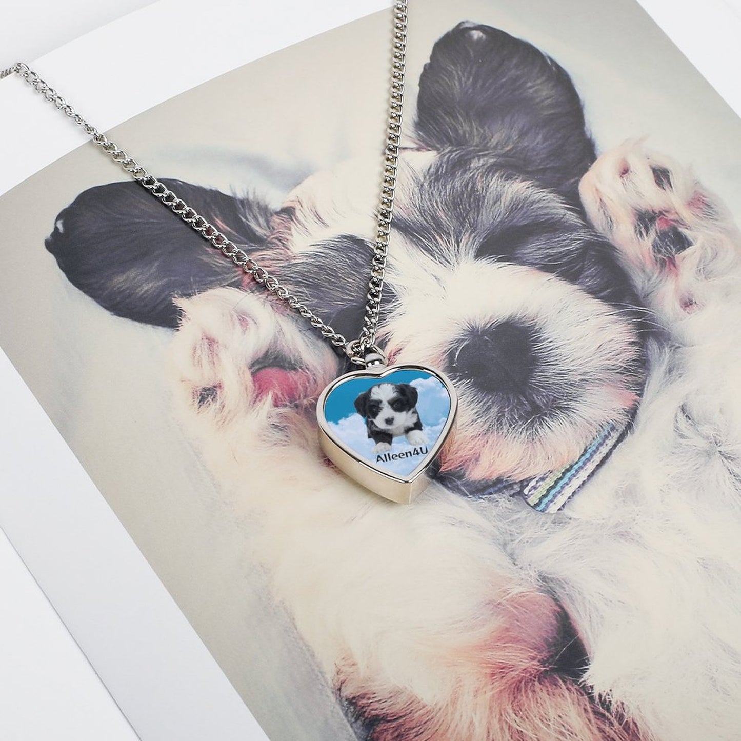 Huisdier Urn Memorial Ketting