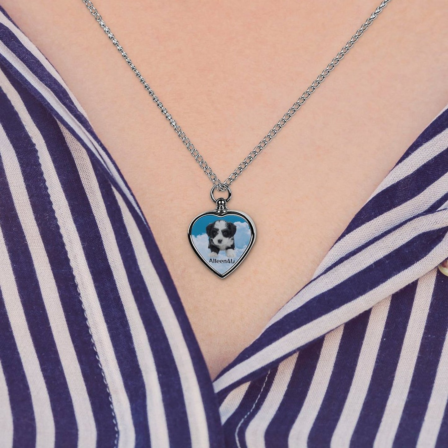 Huisdier Urn Memorial Ketting