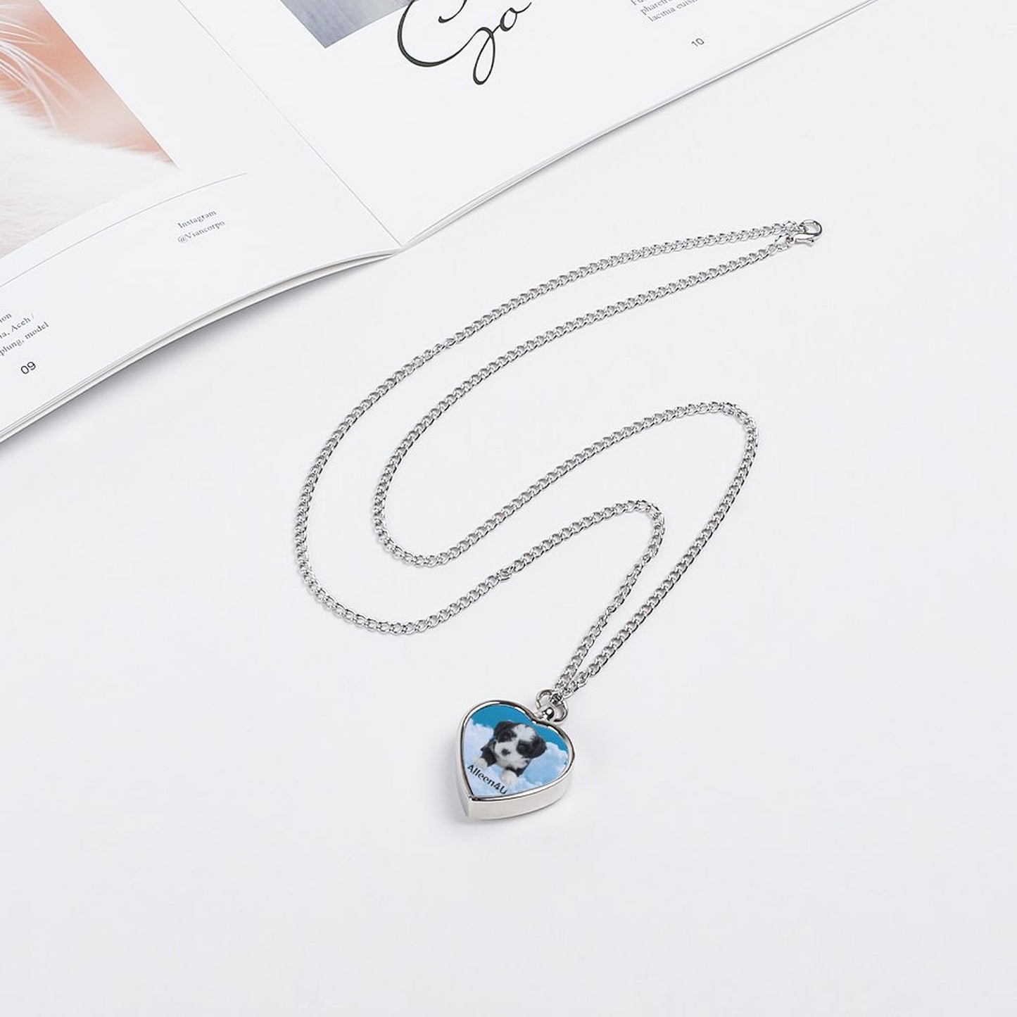 Huisdier Urn Memorial Ketting