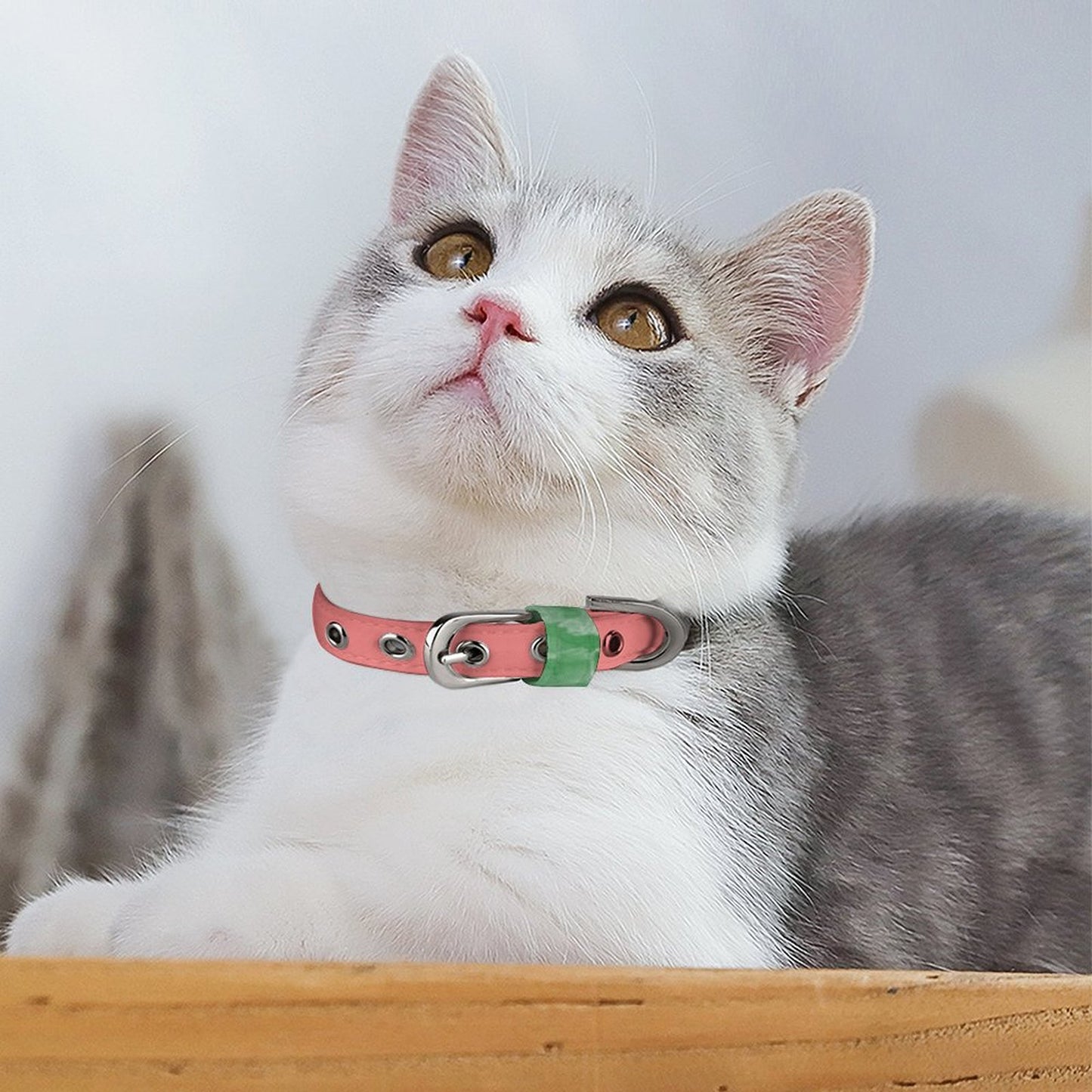 Halsband